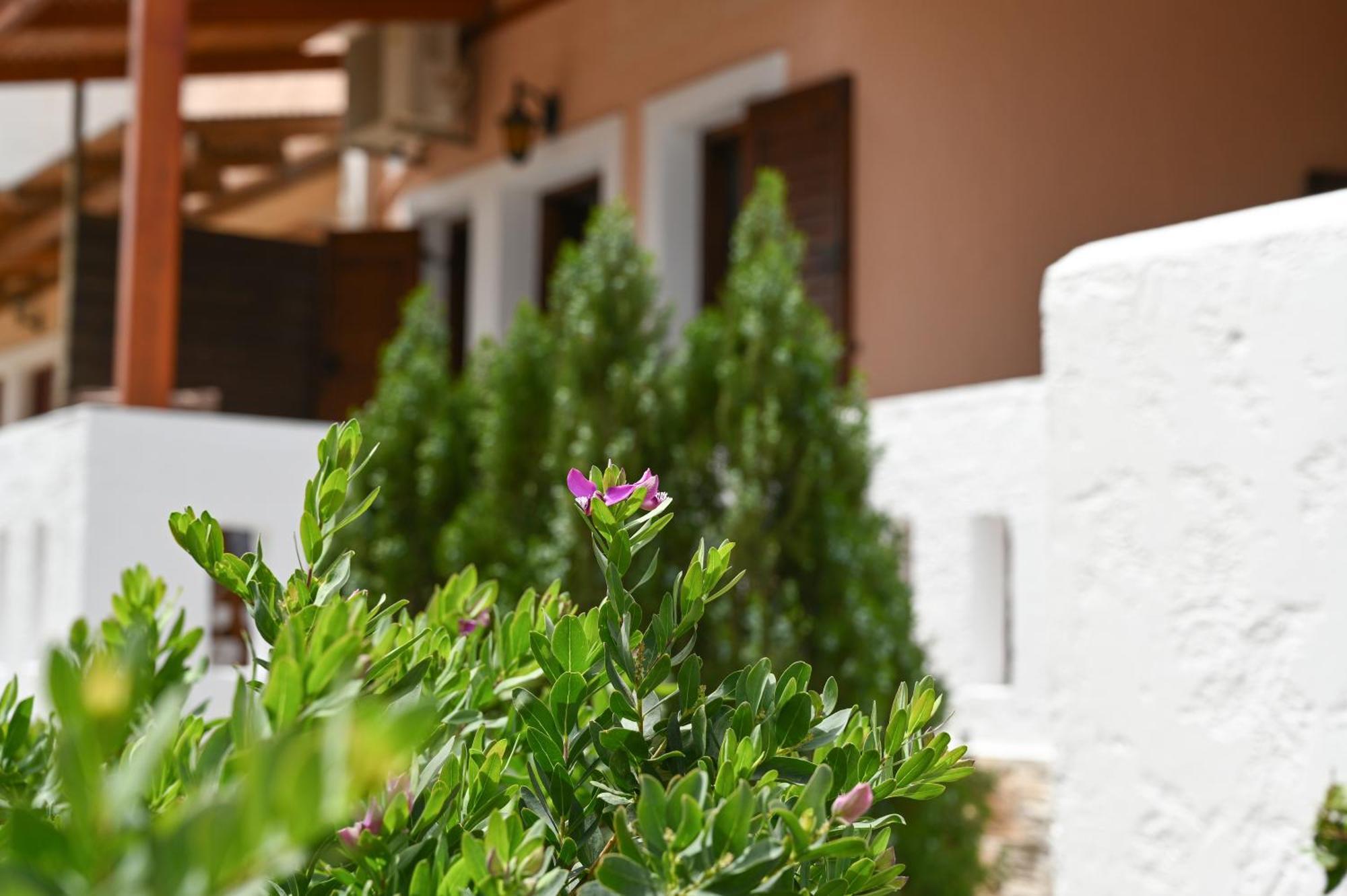 Garden House Xerokampos Apartman Xirókambosz Kültér fotó